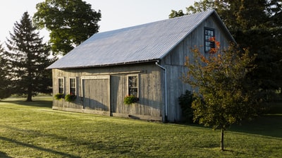 Green trees beside the gray wooden house during the day
